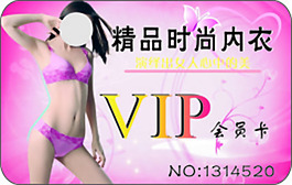 内衣VIP