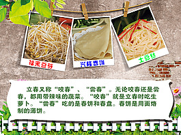豆芽
