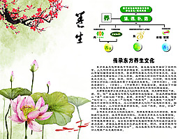 养生文化