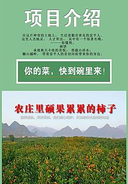 柿饼淘宝众筹