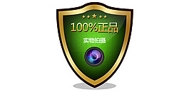 质量保证盾牌绿色盾牌