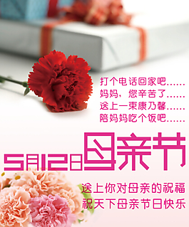 母亲节康乃馨