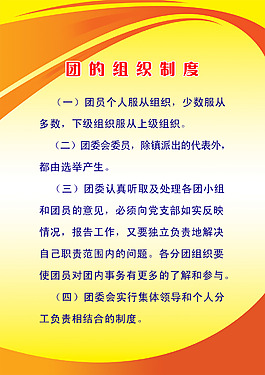团的组织制度