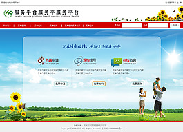平台网页入口