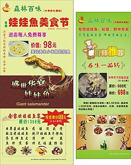 美食节养生娃娃鱼展架