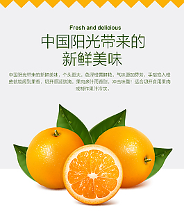橙子海报