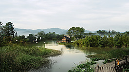 湿地公园