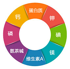营养成分 表格 色彩表格