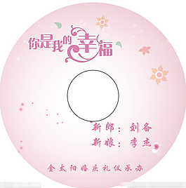 Dvd盘面图片 Dvd盘面素材 Dvd盘面模板免费下载 六图网