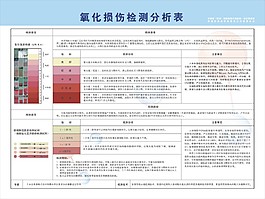 氧化损伤检测分析