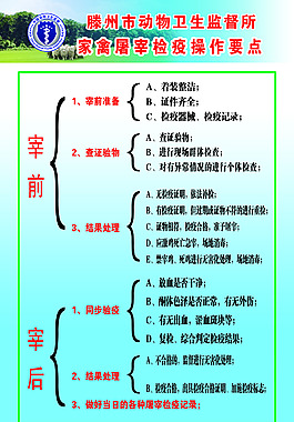 家禽屠宰操作要点
