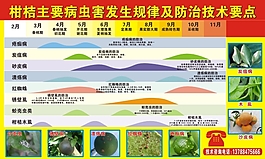 病虫防治要点