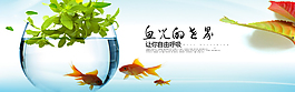 鱼食店淘宝素材