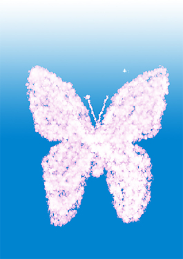 蝴蝶