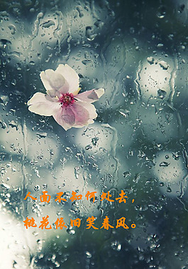 桃花