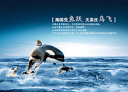 校园文化墙设计模板psd素材