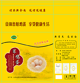 黄色高档笨鸡蛋提盒设计模版