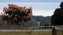 户外活动素材视频素材