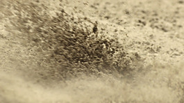 户外活动视频素材