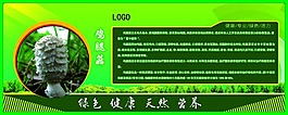 绿色菌类展板
