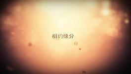 婚庆公司宣传片AE模板