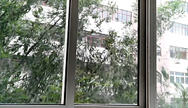 窗外风吹柳树视频素材