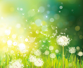 梦幻蒲公英花丛矢量素材