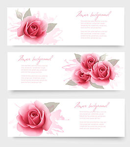 水彩玫瑰花banner矢量素材
