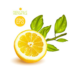 切开的黄柠檬矢量素材