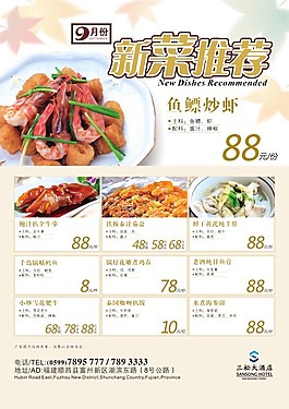 新菜推荐
