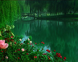 绿色湖景视频素材