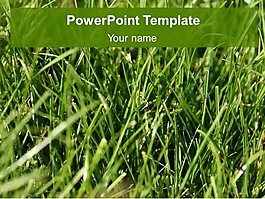 草坪的PowerPoint模板