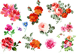 水粉画花朵矢量素材免抠图