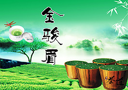 金骏眉