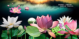 夏日荷花池意境图