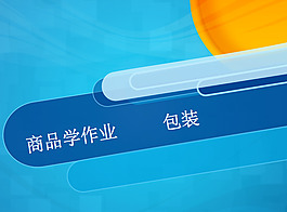 商品作业ppt