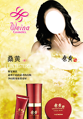 维娜展架