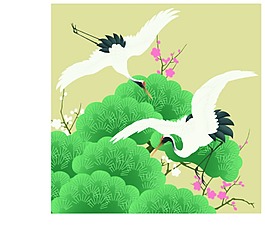 丹顶鹤素材
