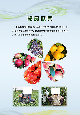 精品瓜果