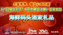 经典好歌手亚军