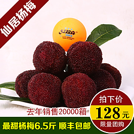 杨梅淘宝主图图片