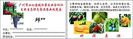 自然生态绿色食品