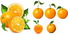 美味的橙子