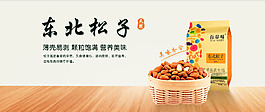 东北松子海报