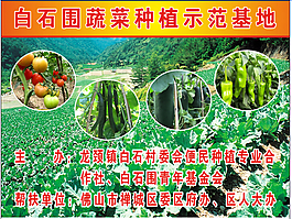 百石围蔬菜种植示范基地