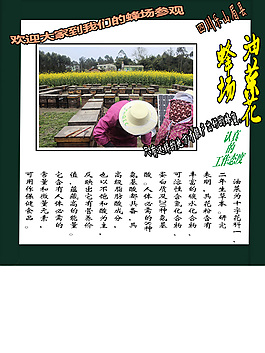 养蜂现场参观  详情页内容