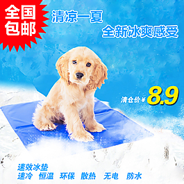淘宝宠物用品主图 夏天