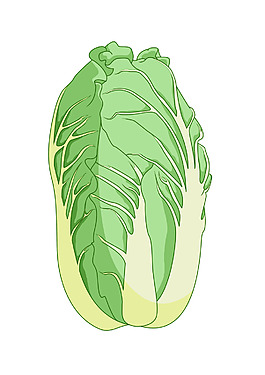 新鲜的大白菜