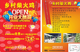 柴火鸡A4DM单图片