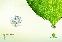 绿色树叶画册封面